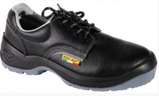 ����� Bicap OS 6023